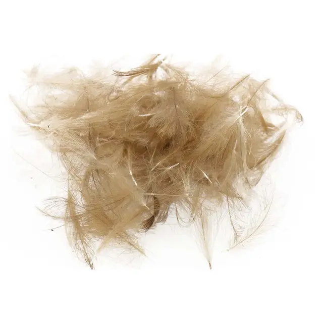 Swiss CDC Standard Pardo Store fjær 