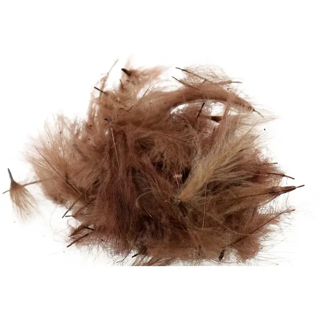 Swiss CDC Standard Dark Pardo Store fjær 