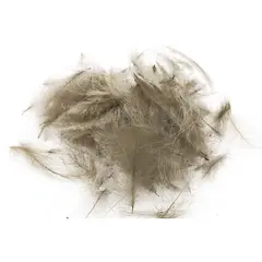 Swiss CDC Standard Dun Store fj&#230;r