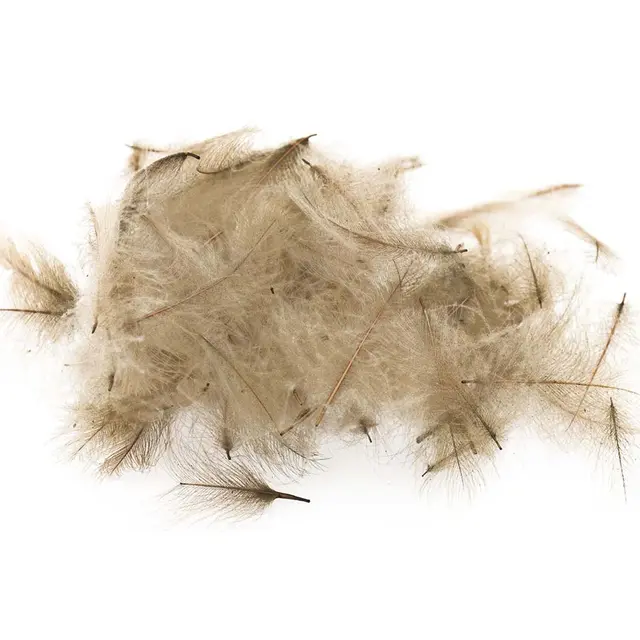 Swiss CDC Ultra Select XL Khaki Campell Store fjær 