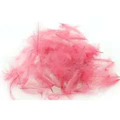 Swiss CDC Standard Rosa Purple Store fj&#230;r