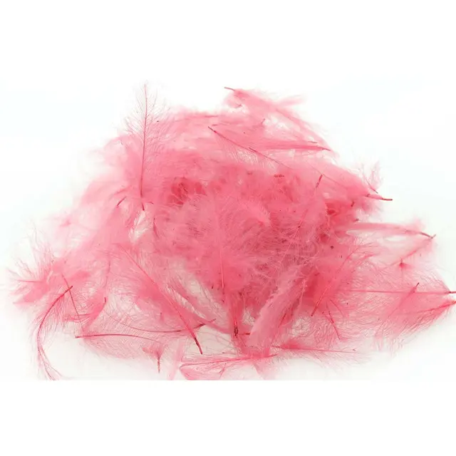 Swiss CDC Standard Rosa Purple Store fjær 