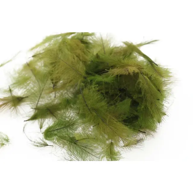 Swiss CDC Super Select Dark Olive Store fjær 