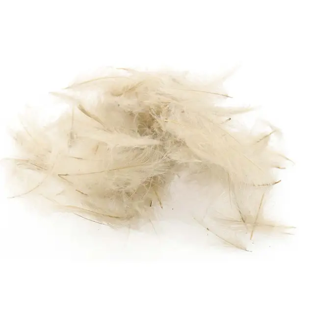 Swiss CDC Ultra Select XL Pale Pardo Store fjær 