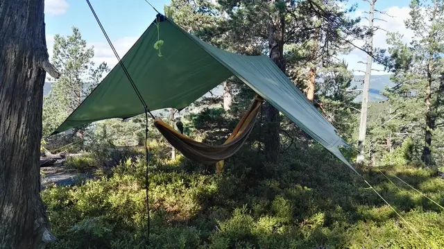 Sydvang Tarp 9 2,9x2,8m Grønn Tarp som beskytter mot regn, vind og sol 