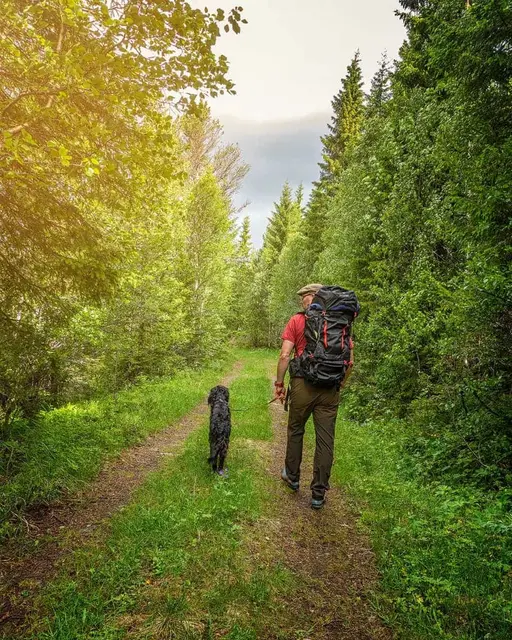 Sydvang Montana Hiking Pack 85L Robust vandresekk med smarte detaljer 