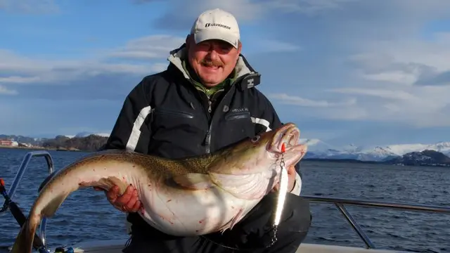 Sølvkroken Svenskepilk  75g rustfri 