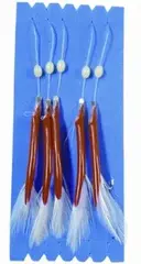 S&#248;lvkroken Hacla stor str. 5/0