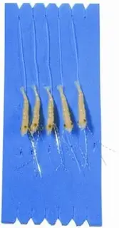 S&#248;lvkroken Minireke str. 2/0