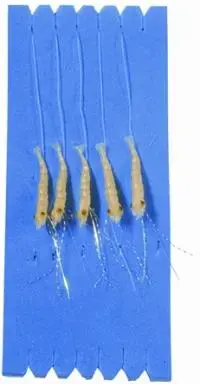 Sølvkroken Minireke str. 2/0 