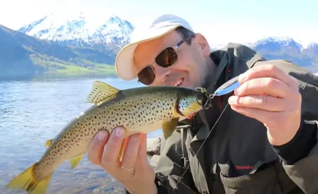 Søvik-Sluken 12g Gull/Rød Kjøp 8 sluker få en gratis slukboks 