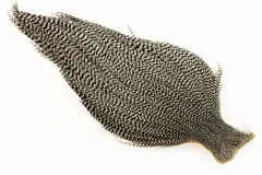 Ewing #1 Grizzly Cape Grizzly