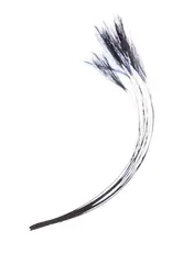 Stripped Hackle Quills - Black Veniard