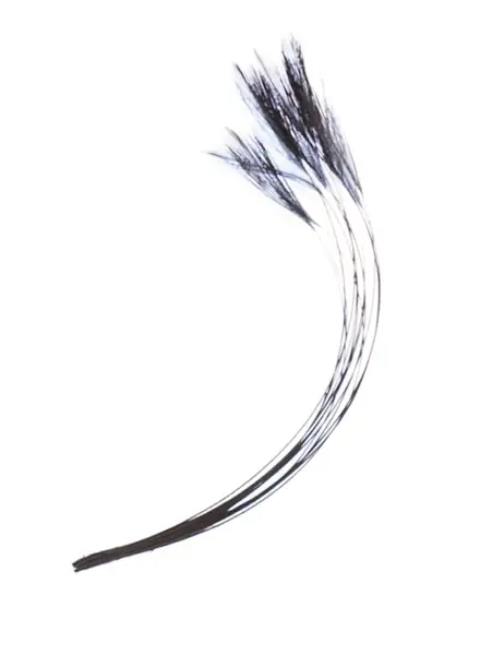 Stripped Hackle Quills - Black Veniard 