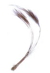 Stripped Hackle Quills - Medium Olive Veniard