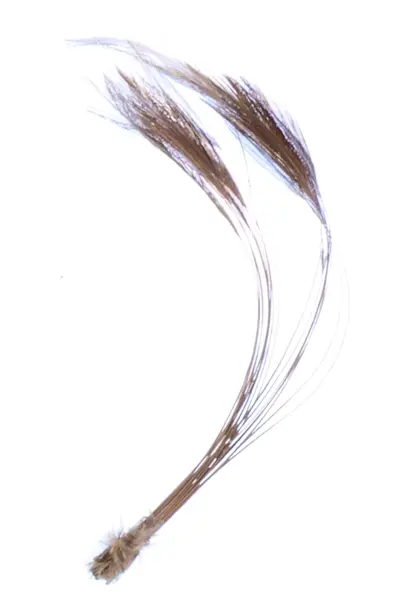 Stripped Hackle Quills - Medium Olive Veniard 