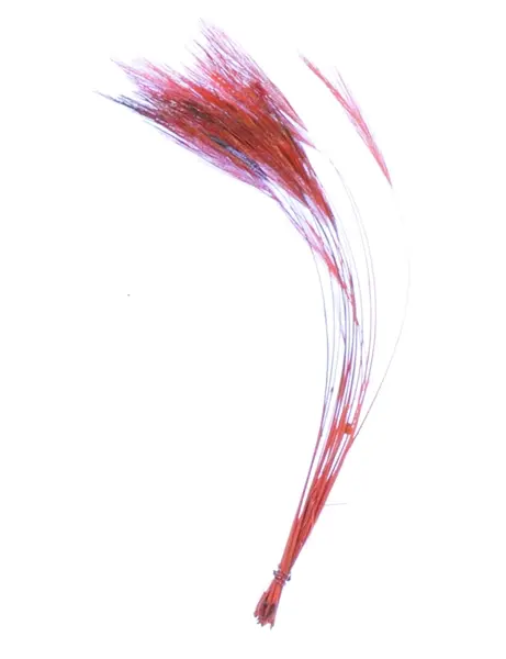 Stripped Hackle Quills - Red Veniard 