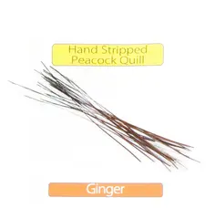 Stripped Peacock Quills - Ginger Veniard