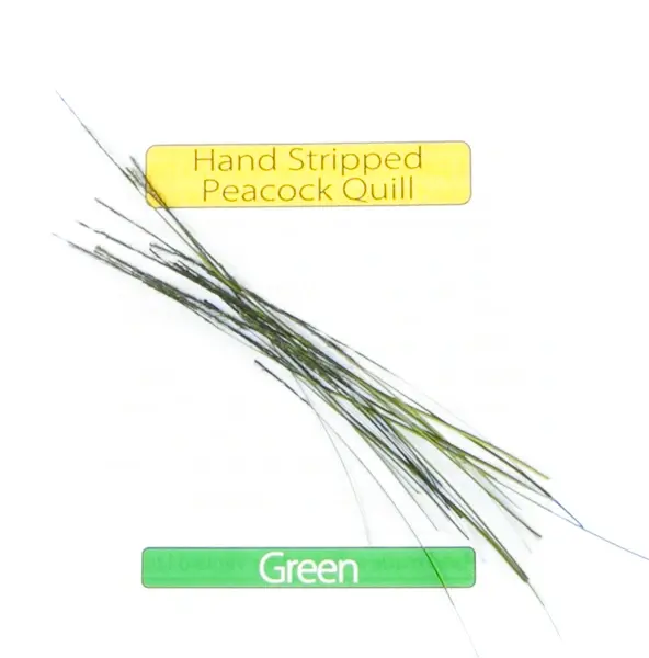 Stripped Peacock Quills - Green Veniard 