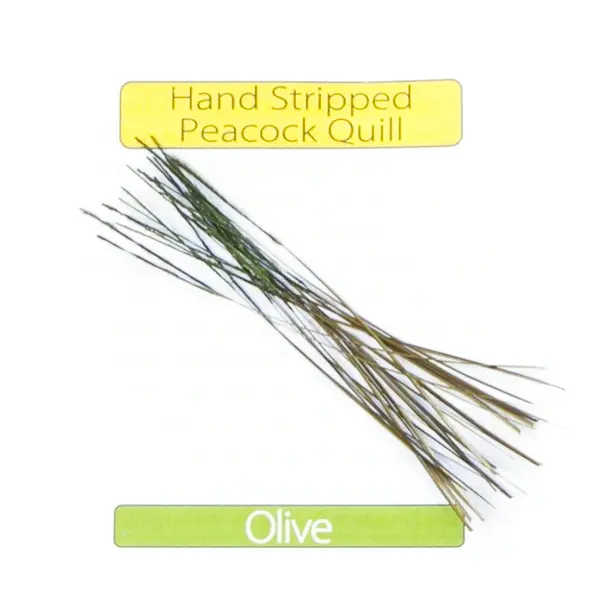Stripped Peacock Quills - Medium Olive Veniard 