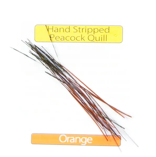 Stripped Peacock Quills - Orange Veniard 