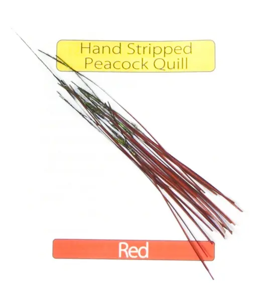 Stripped Peacock Quills - Red Veniard 