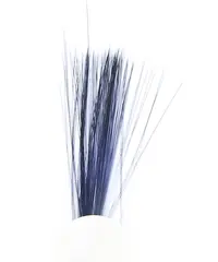 Tail Fibres - Black Veniard
