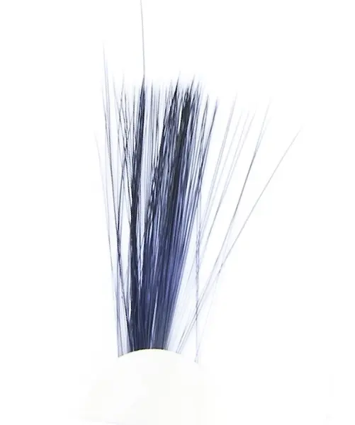 Tail Fibres - Black Veniard 