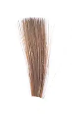 Tail Fibres - Fiery Brown Veniard