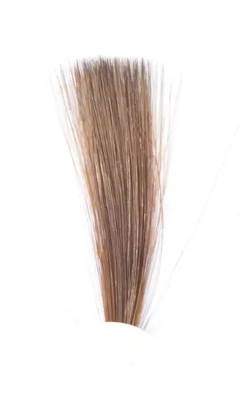 Tail Fibres - Fiery Brown Veniard 