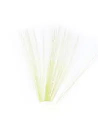 Tail Fibres - Golden Olive Veniard