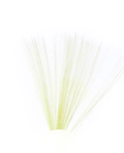 Tail Fibres - Golden Olive Veniard 