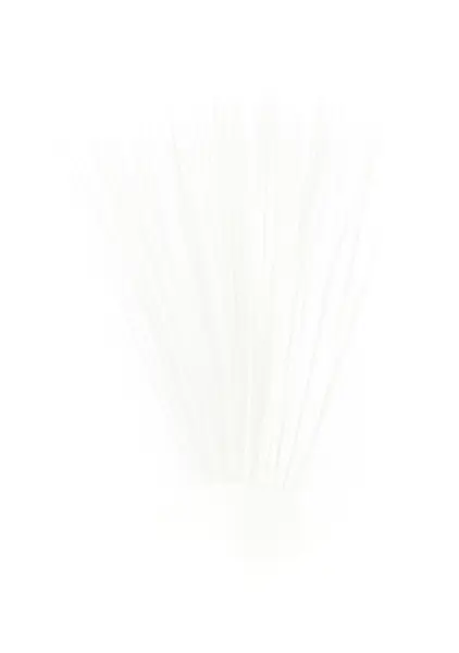 Tail Fibres - White Veniard 