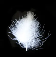 Veniard CDC Super Select - Natural White 15 sm&#229; / 15 store fj&#230;r per pose