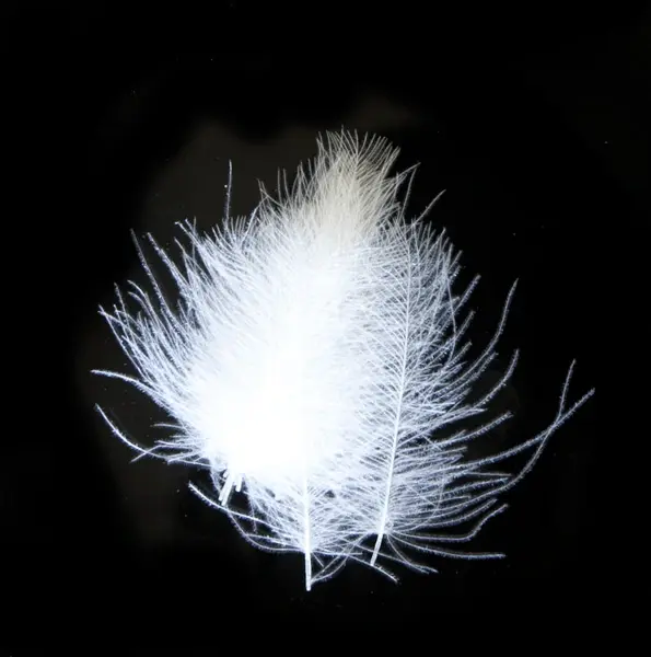 Veniard CDC Super Select - Natural White 15 små / 15 store fjær per pose 