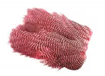 Softhackle patch Grizzly Shrimp Pink