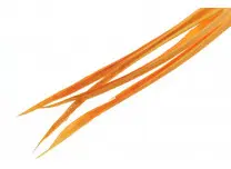 Turkey Biots Amber Wapsi