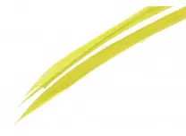 Turkey Biots Green Drake Wapsi