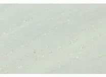 H2O Fish Scale White