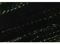 H2O Fish Scale Black