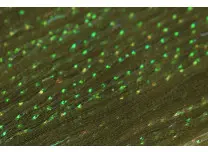 H2O Fish Scale Olive