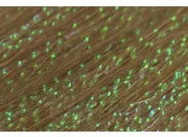 H2O Fish Scale Brown