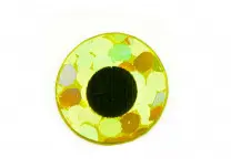 Flat Eyes Holo Gold 2,6 mm