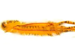 Barred Rabbit Zonker Orange/Yellow The Fly Co