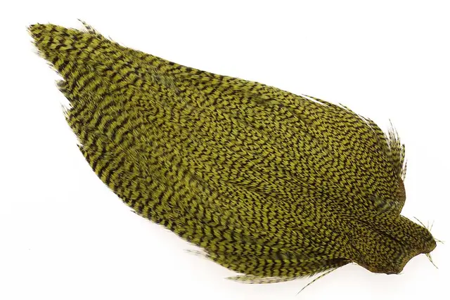 Ewing #1 Grizzly Cape Olive 