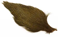 Ewing #1 Grizzly Cape Brownish Olive