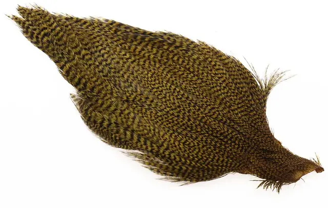 Ewing #1 Grizzly Cape Brownish Olive 