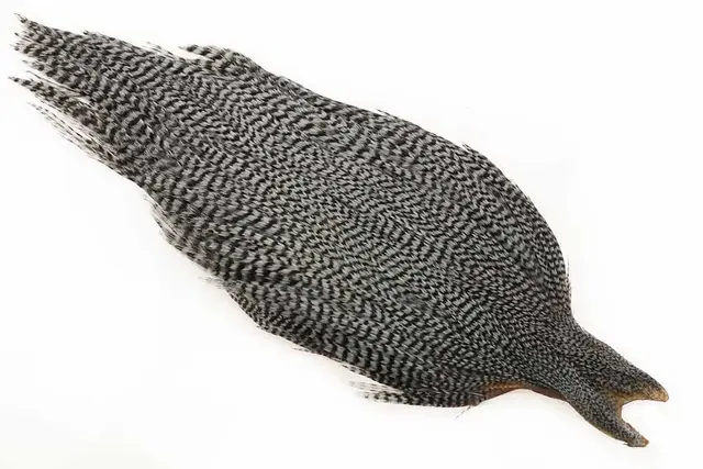 Ewing #1 Grizzly Cape Med. Blue Dun 