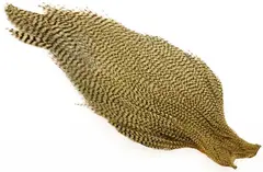 Ewing #1 Cape Bleached Grizzly Olive