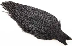 Ewing #1 Grizzly Cape Dark Blue Dun